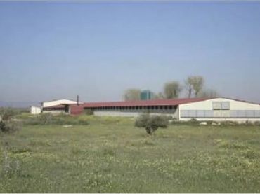 Terreni e lotti in vendita a ER EXTRARRADIO POLIGONO