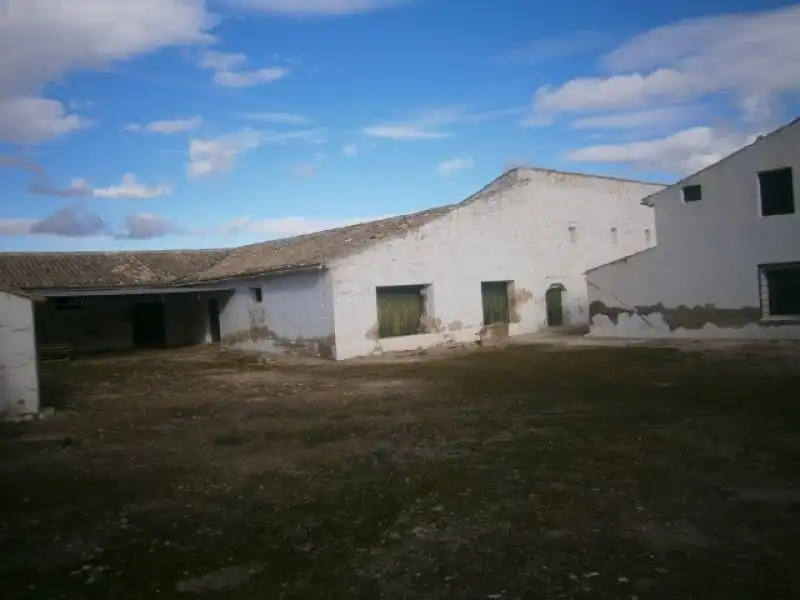 Casa rustica con giardino in vendita a Monóvar  / Monòver, imagen 50