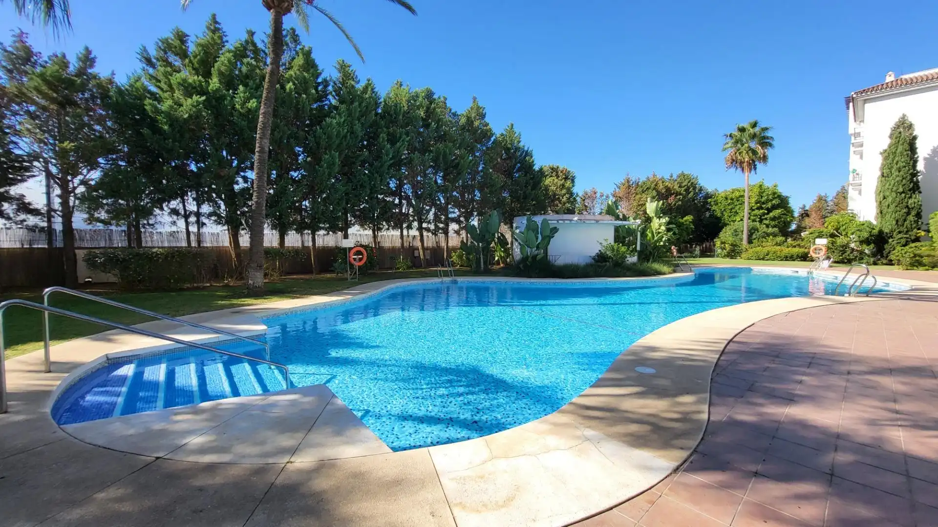 Swimming pool of Apartments for rent in Nueva Andalucía