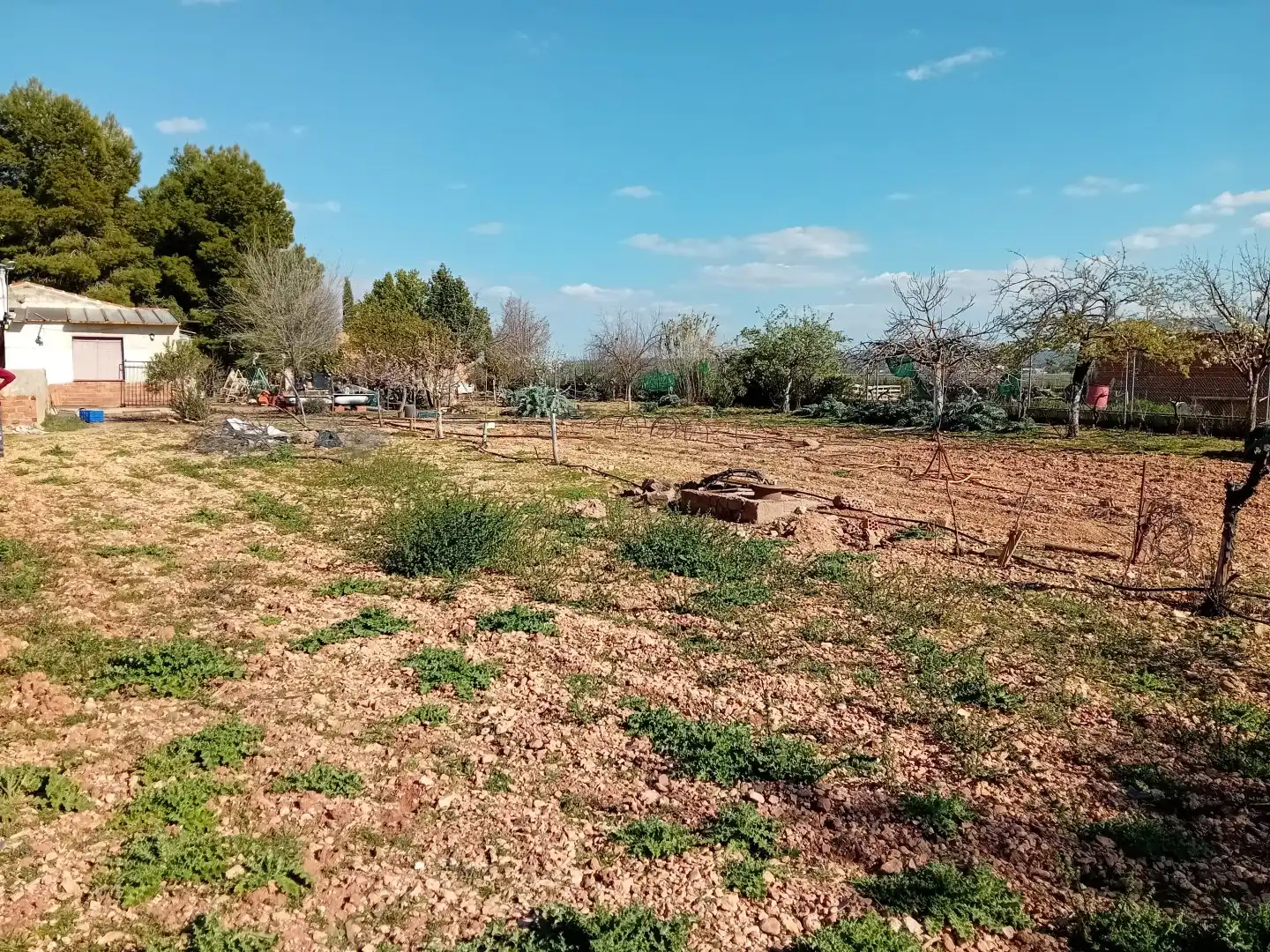 Casa o chalet en venta en Bolaños de Calatrava con Terraza, Trastero y Amueblado