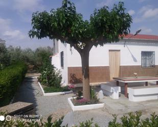 Jardí de Casa o xalet en venda en Baza amb Moblat