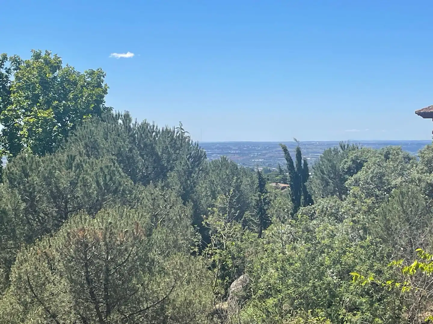 Casa o chalet en venta en Torrelodones con Aire acondicionado, Calefacción y Jardín privado