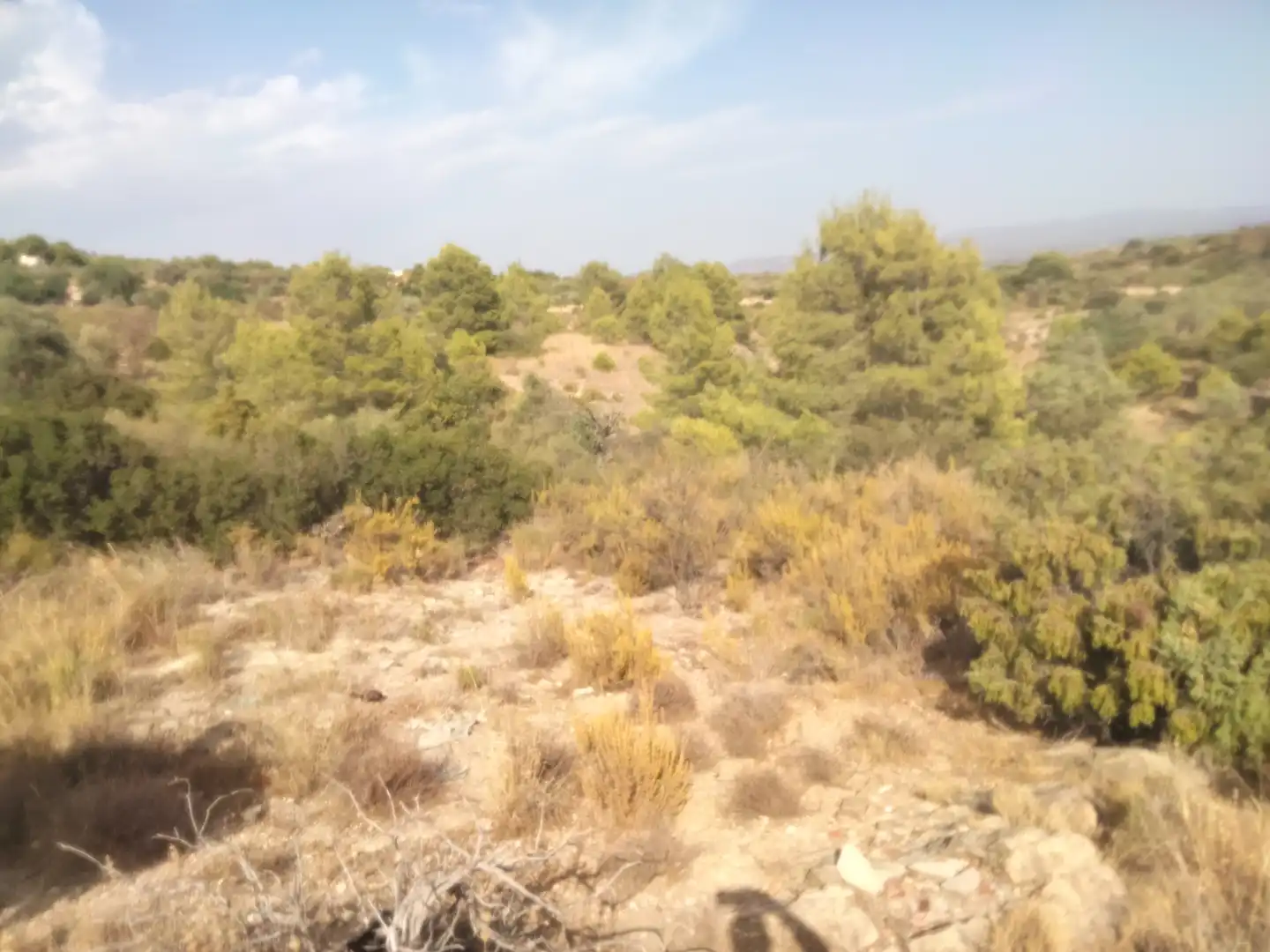 Terrain rustique à vendre à Casinos, imagen 4