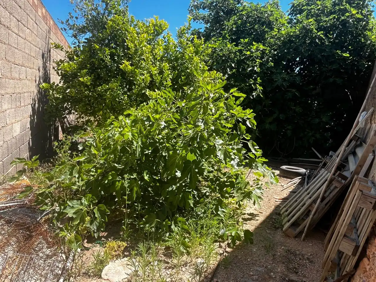 Finca rústica en venda a Los Sáez-las Beatas, San Pedro del Pinatar ciudad