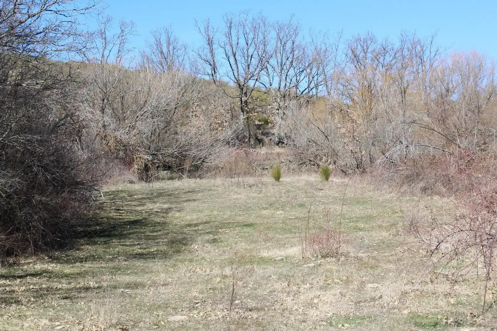 Land for sale in Peguerinos