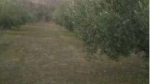 Photo 5 of Land for sale in Paseo Los Caños, 2, Cortes y Graena, Granada