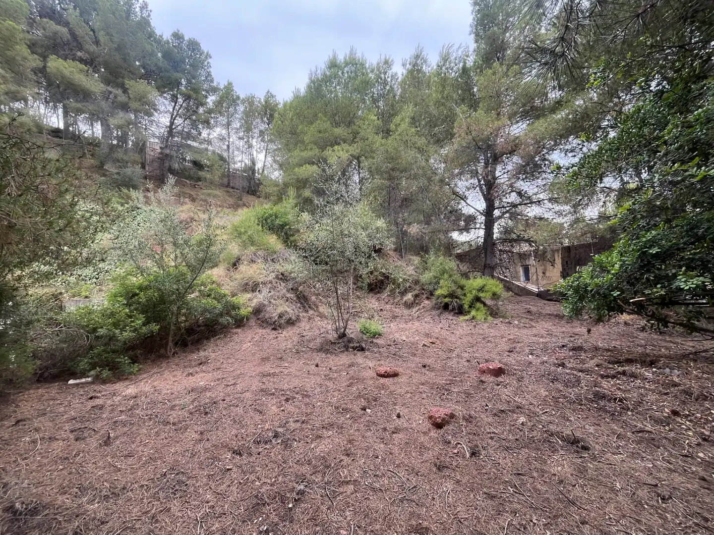 Residencial en venda en Torres Torres