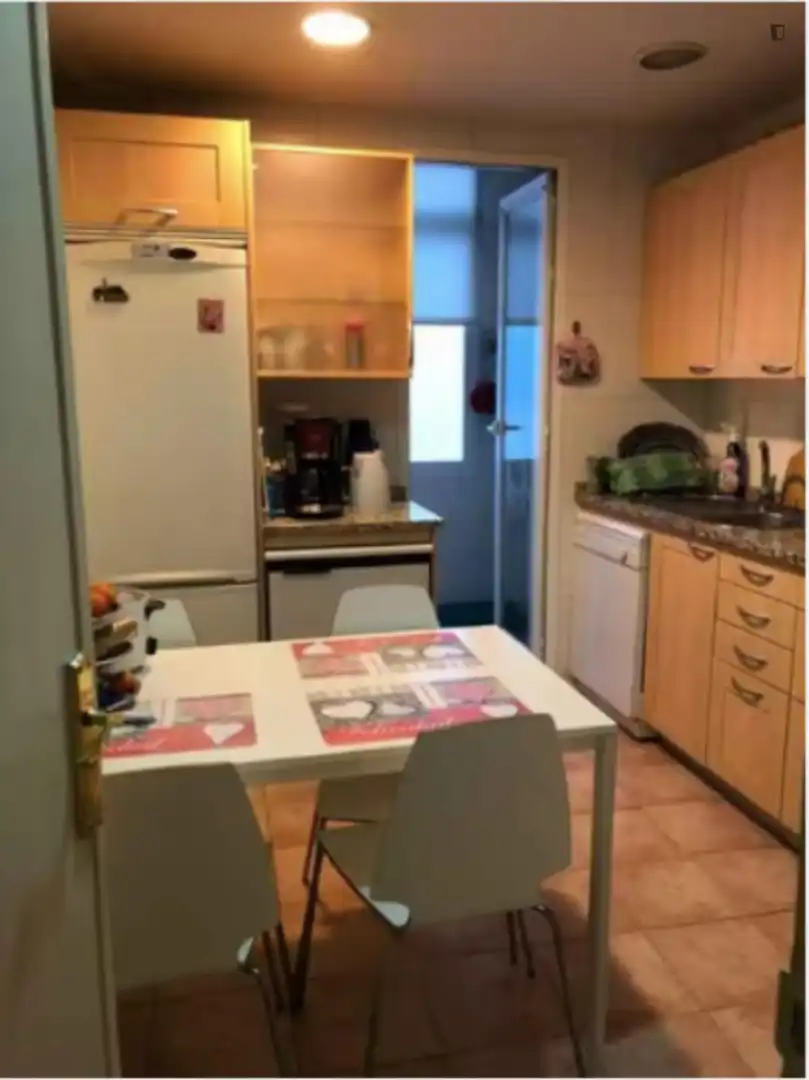 Cuina de Apartament per a compartir en Madrid amb Moblat, Forn i Rentadora