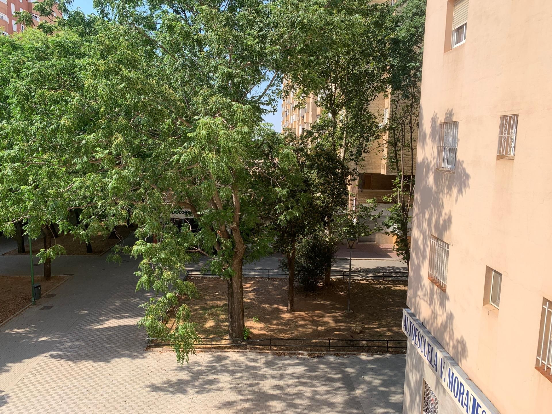 Jardí de Apartament en venda en  Sevilla Capital amb Terrassa