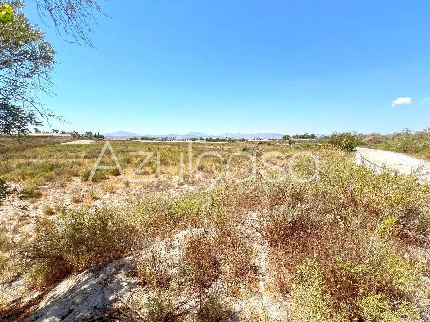 Land for sale in Monforte del Cid