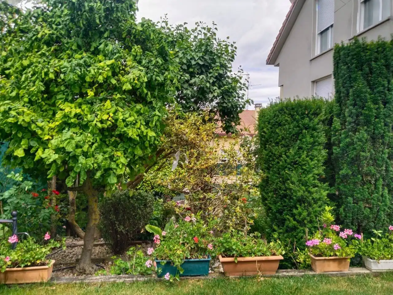 Jardí de Casa o xalet en venda en Villariezo amb Calefacció, Jardí privat i Parquet