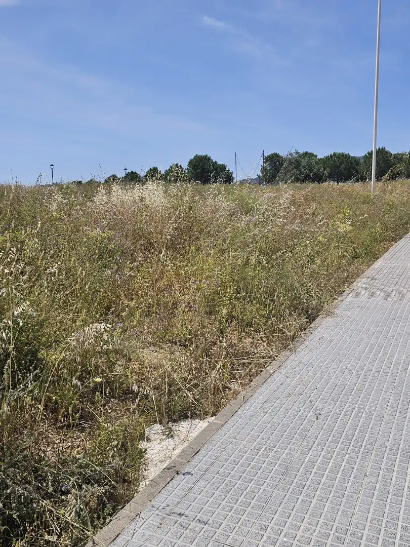 Terreno residenziale in vendita a Coín, imagen 8