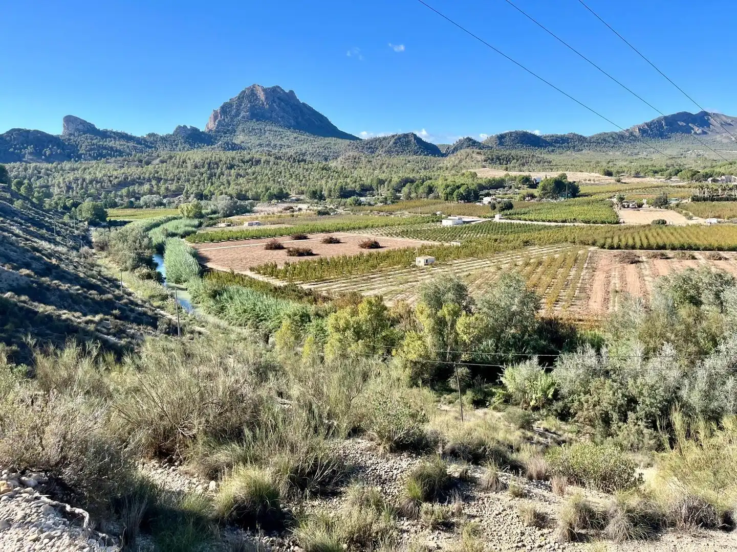 Casa o chalet en venta en Cieza con Calefacción, Jardín privado y Trastero