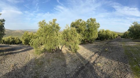 Foto 2 von Grundstücke zum Verkauf in Benamejí, Córdoba