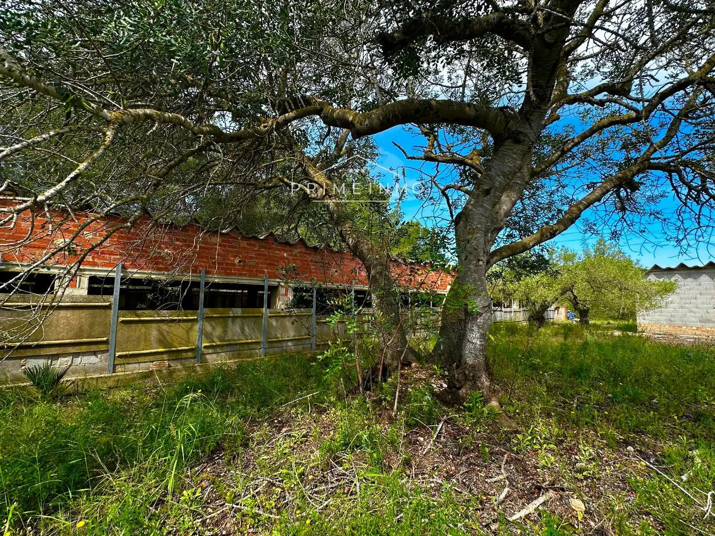 Terreno rústico en venta en Tivissa, imagen 39