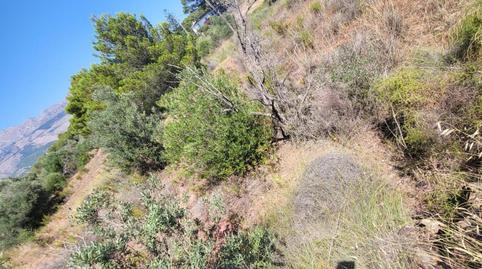 Foto 3 de Residencial en venta en San Rafael - Nucia Park, La Nucia