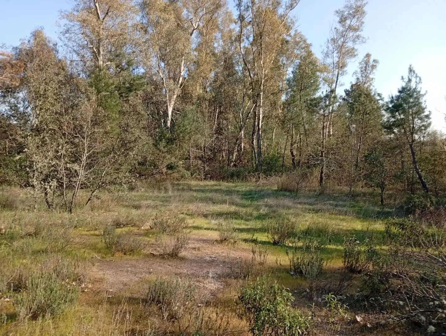 Terreni e lotti in vendita a Villanueva de la Vera, imagen 104