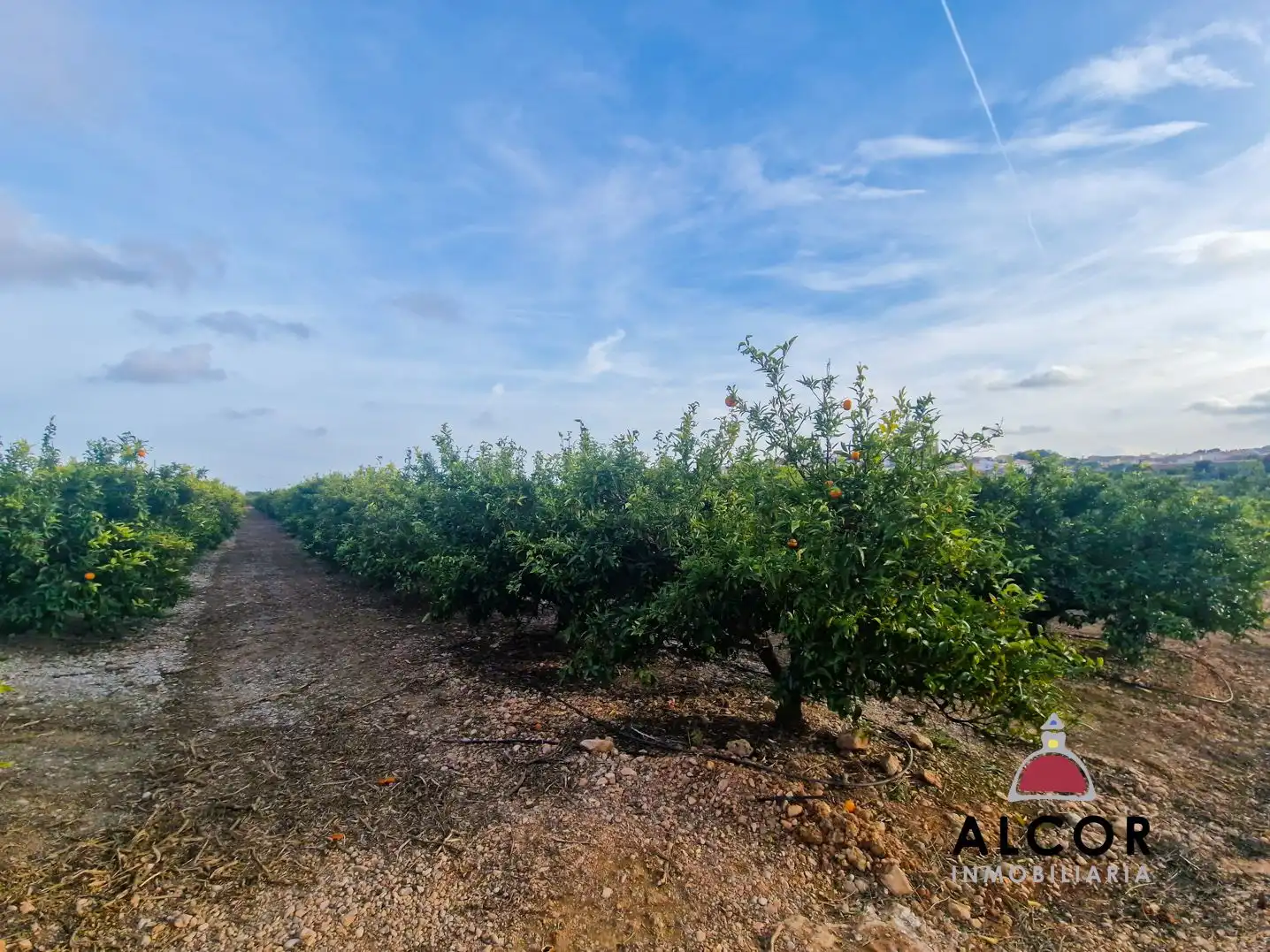 Maison rustique à vendre à 16, imagen 5