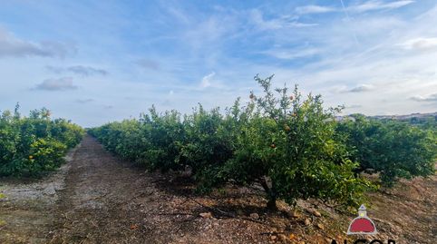 Foto 5 von Country house zum Verkauf in 16, Càlig, Castellón