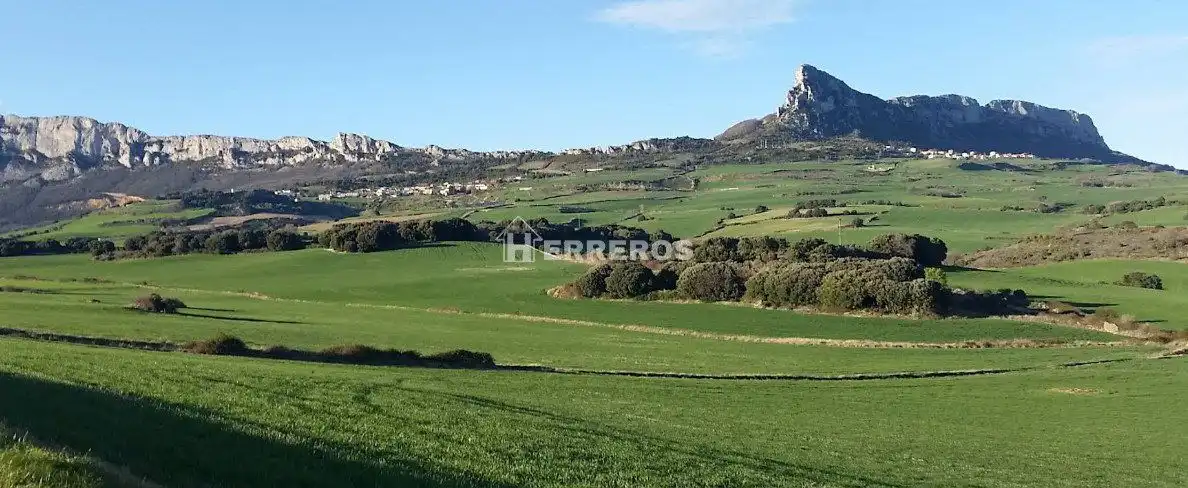 Casa o xalet en venda en Lanciego / Lantziego amb Calefacció, Terrassa i Traster