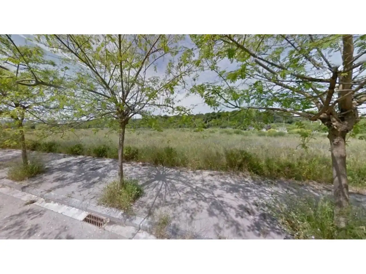 Rural land for sale in Calle Italia
