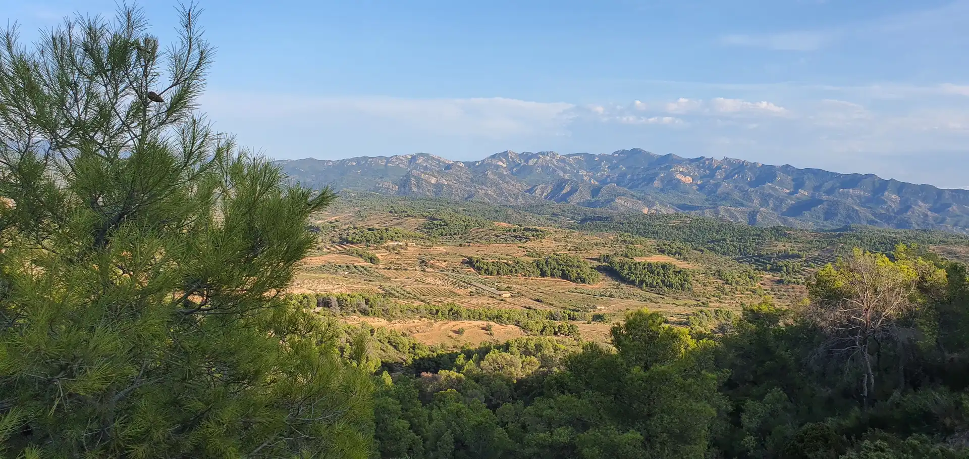 Wohnbaugrundstück zum Verkauf in El Pinell de Brai, imagen 11