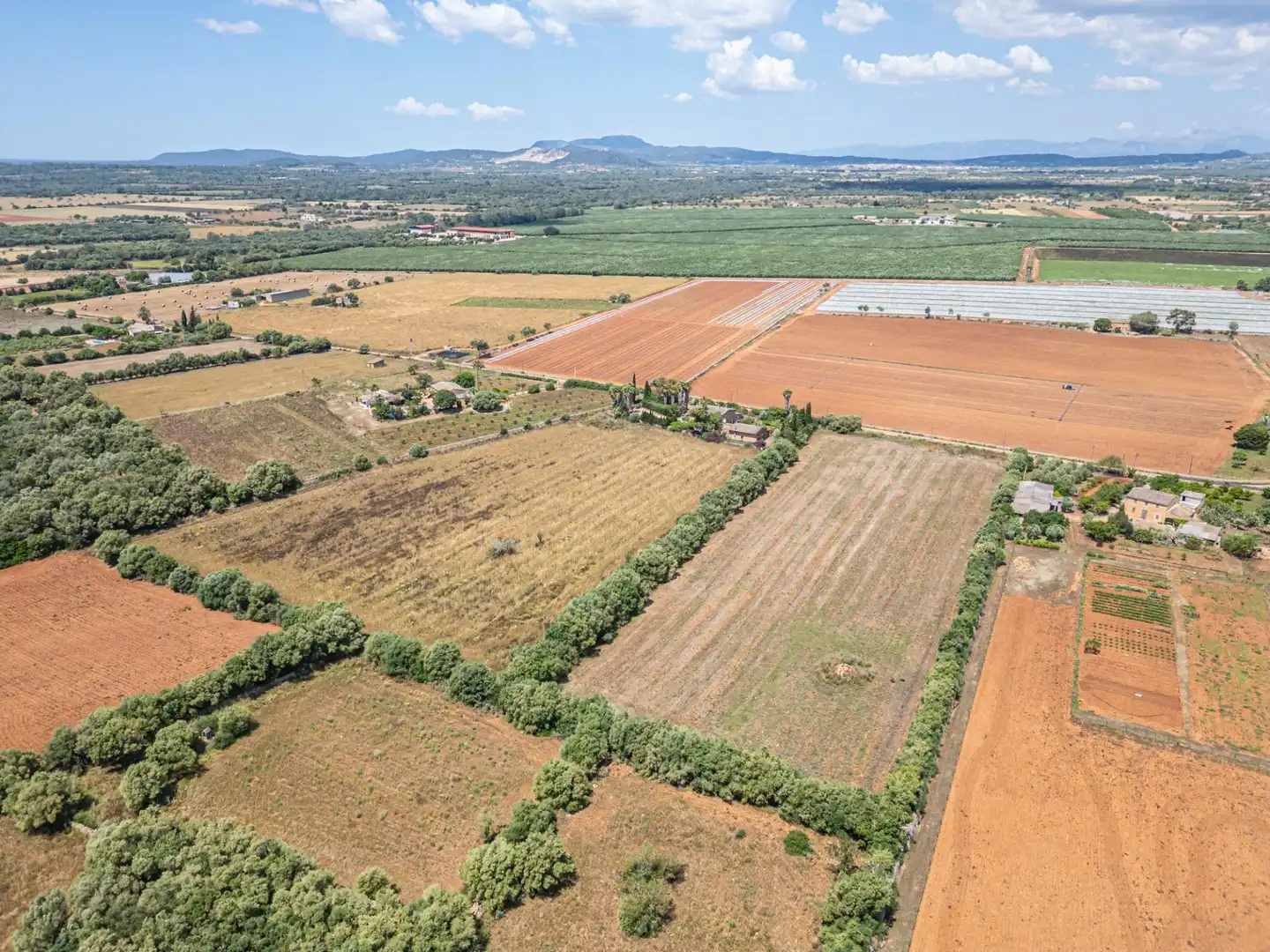 Rural land for sale in Felanitx Poble, imagen 16