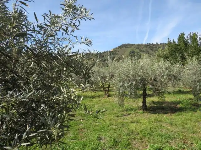 Jardín de Terreno en venta en Cenes de la Vega