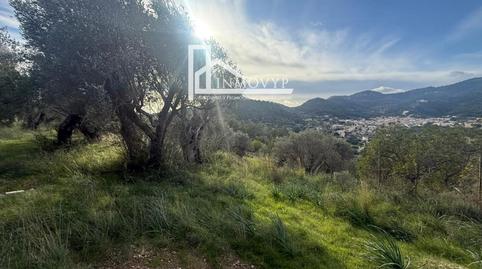 Foto 3 de Finca rústica en venda a N/a, Mancor de la Vall, Illes Balears