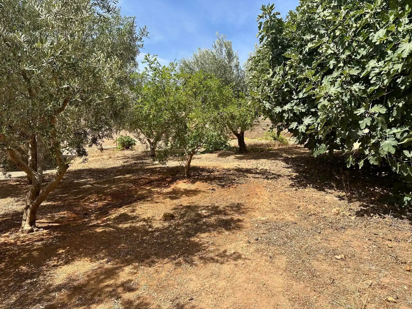 Casa o xalet en venda en Albacete amb Traster, Moblat i Forn