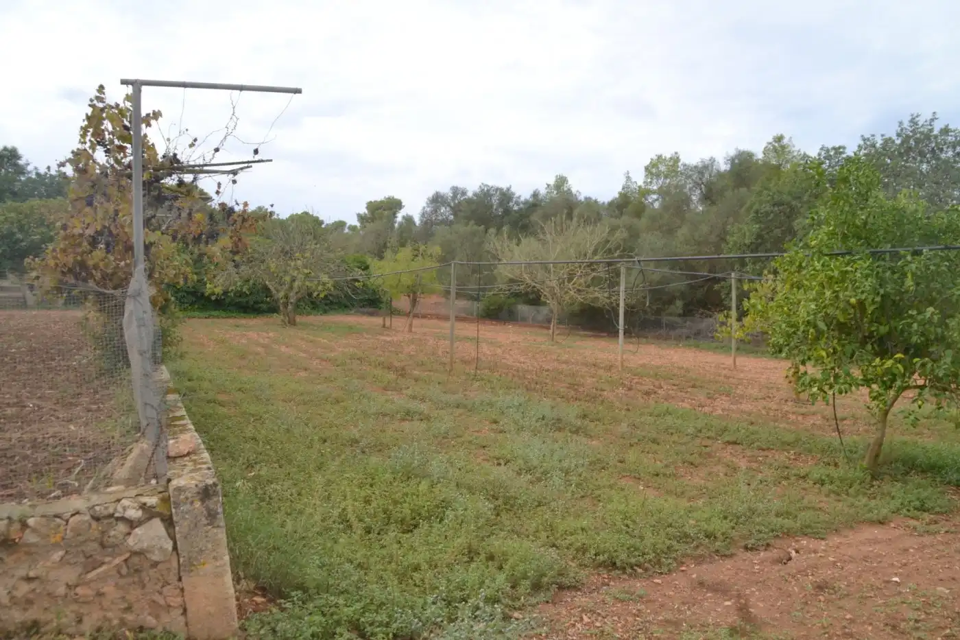 Finca rústica en venta en Son Gual