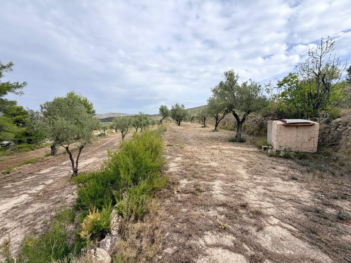 Residencial en venta en Fageca, Alicante