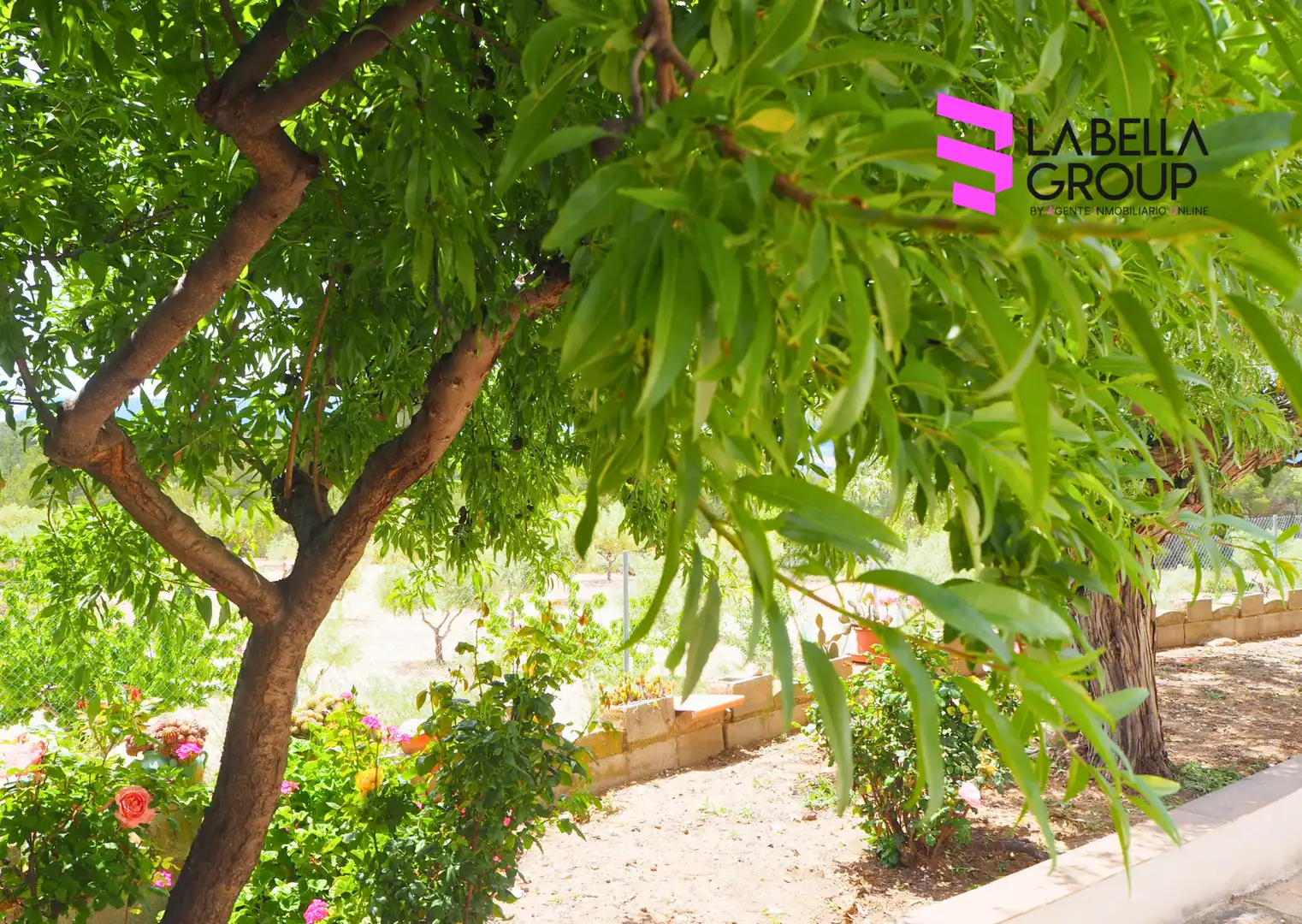 Maison rustique avec jardin à vendre à Lugar III Pd 4, imagen 23