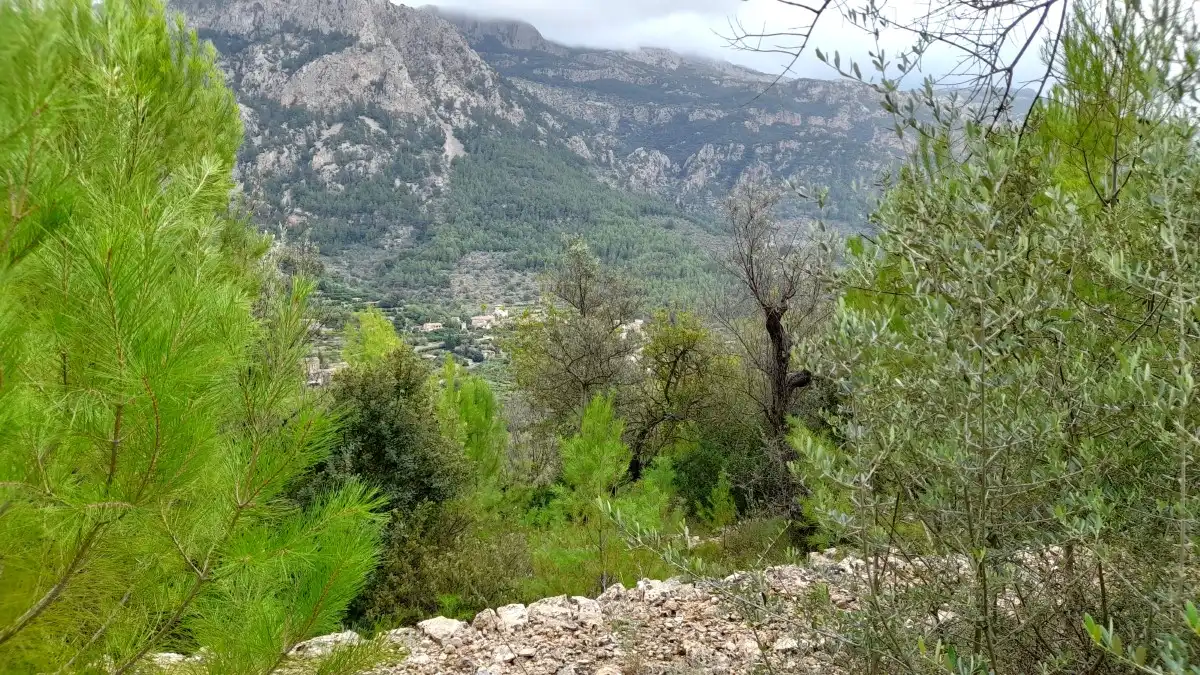 Terreny rústic en venda a Fornalutx, imagen 12