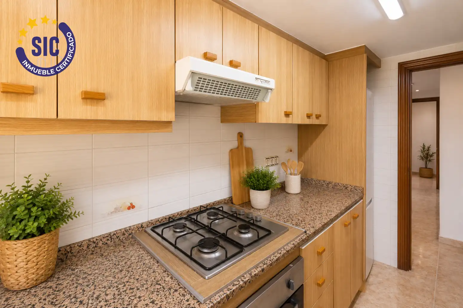 Flat for sale in Valencia - CL SAN JUAN DE DIOS, 1, La Malva-rosa
