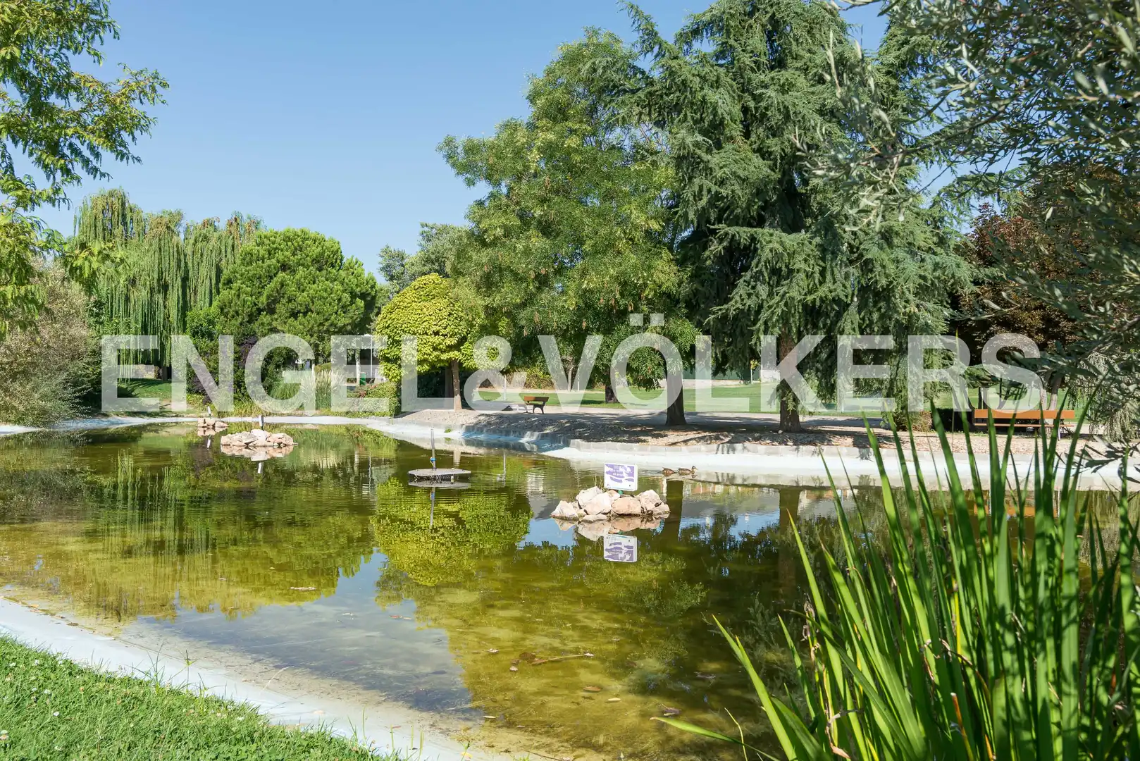 Swimming pool of Study for rent in Villanueva de la Cañada  with Air Conditioner, Heating and Private garden