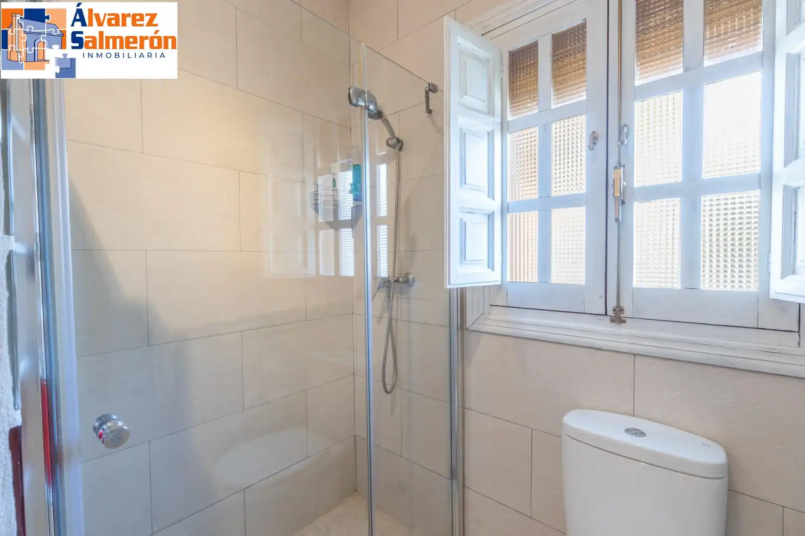 Baño de Casa o chalet en venta en Altos de la Zubia