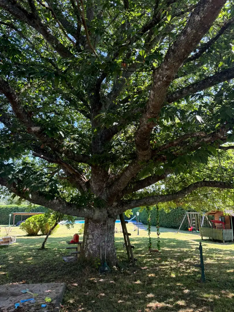 Jardí de Casa o xalet en venda en Outeiro de Rei amb Calefacció, Jardí privat i Piscina