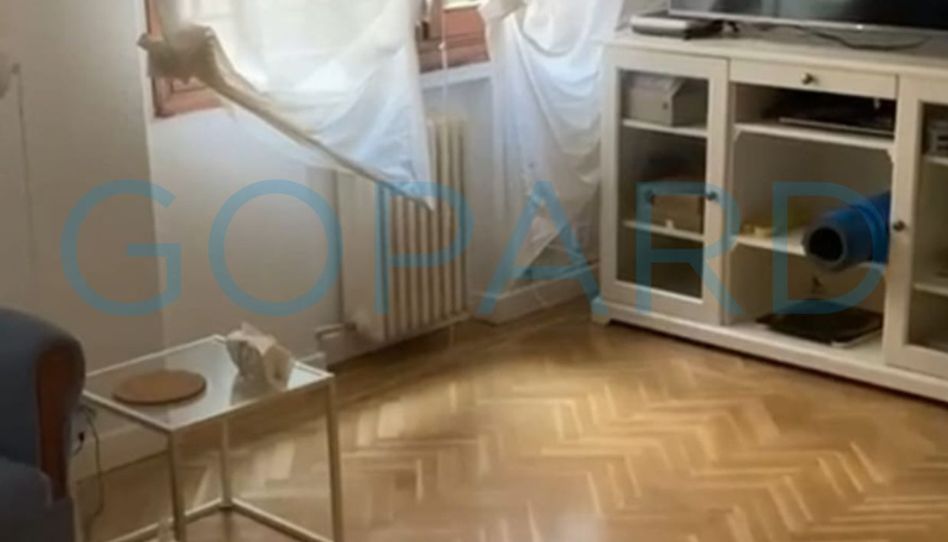 Piso de alquiler en Calle de Viriato, Trafalgar - Imagen 2