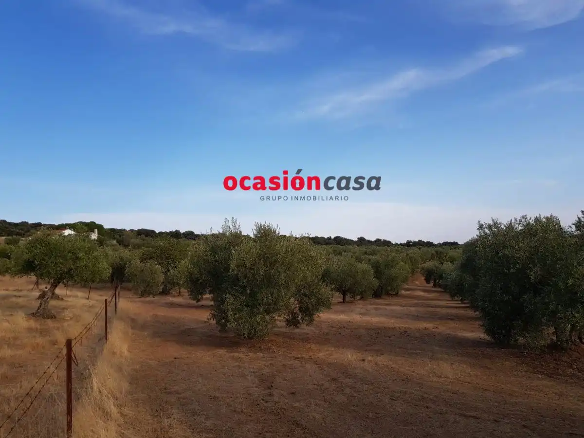 Finca rústica en venta en Espiel con Piscina y Amueblado