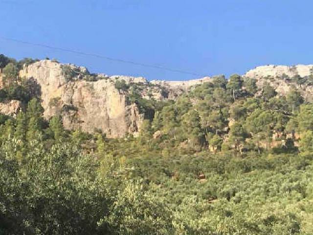 Terreno en Venta en Natao Alto en Villanueva del Arzobispo