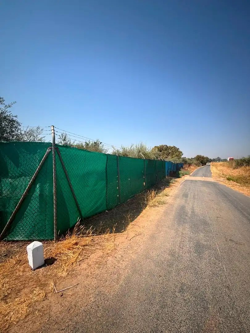 Vista exterior de Finca rústica en venda en Huévar del Aljarafe amb Jardí privat, Traster i Piscina