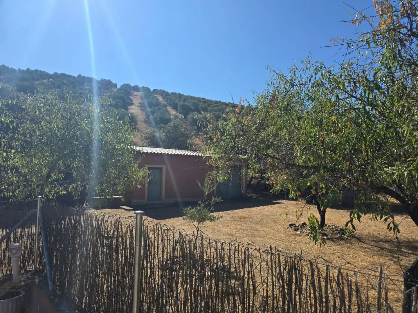 Finca rústica en venda a Belvís de la Jara