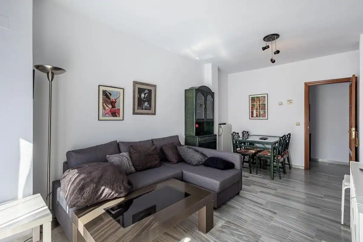 Living room of Flat for rent in Genil