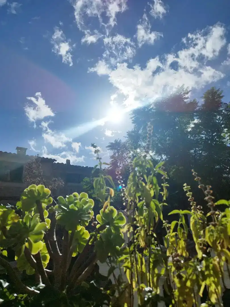 Jardín de Casa o chalet para compartir en Valldemossa con Parquet, Horno y Lavadora