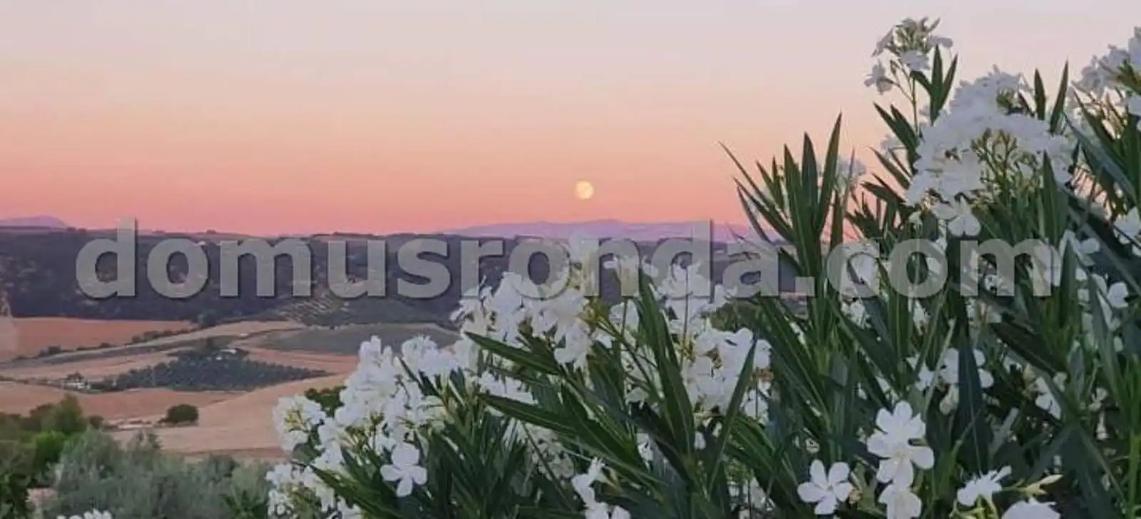Maison rustique avec piscine à vendre à Peñacerrada, imagen 37