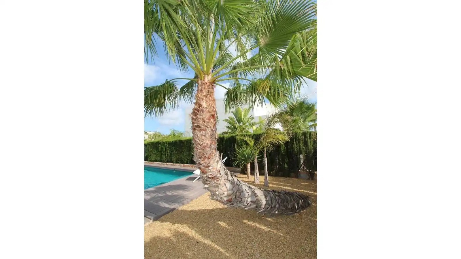 Jardín de Casa o chalet en venta en Rojales