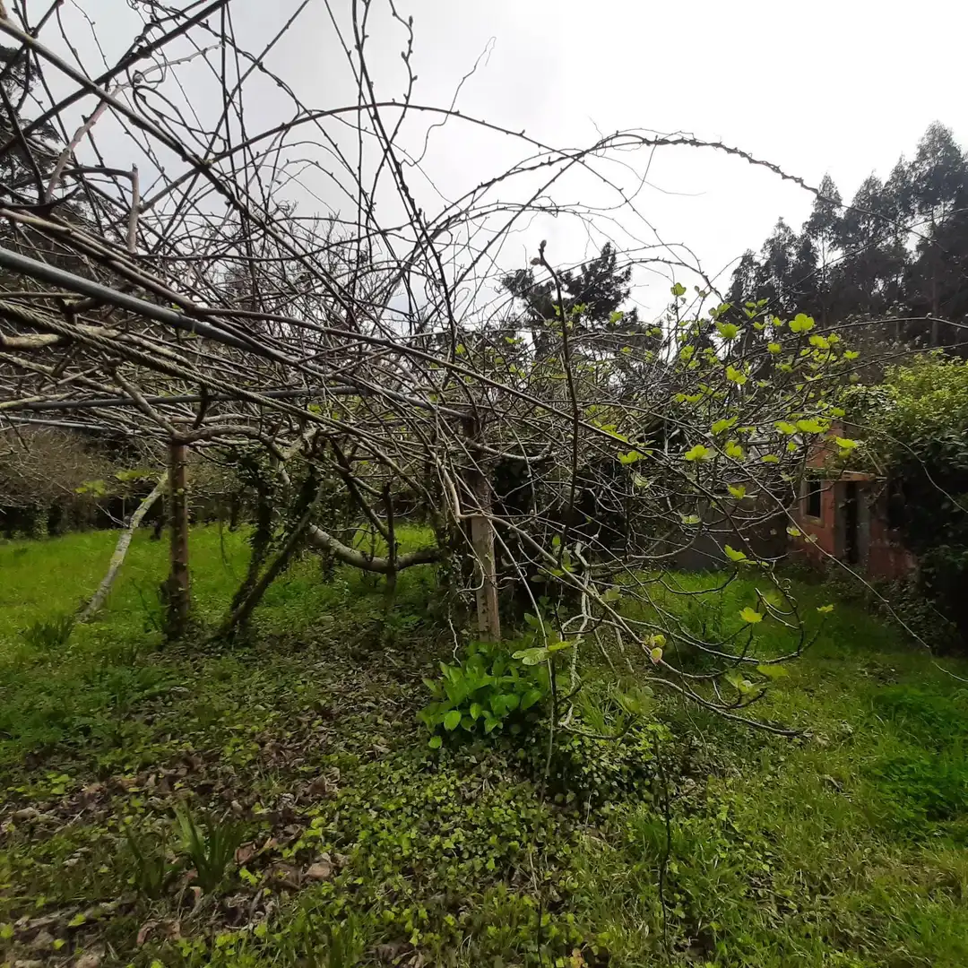 Casa rústica con jardín en venta en PIÑEIRO LOIBA 7, imagen 36