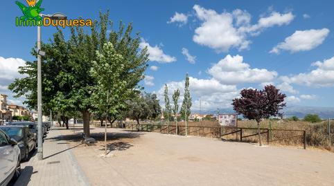Foto 4 de Finca rústica en venda a Carretera Carretera del Hijar-gabia, Híjar, Granada