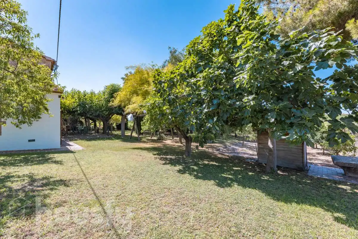 Jardín de Casa o chalet en venta en Castellví de la Marca con Jardín privado, Terraza y Trastero